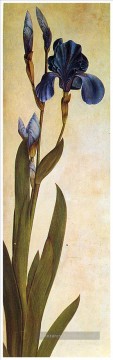  Iris Tableaux - Iris Troiana Albrecht Dürer classique fleurs
